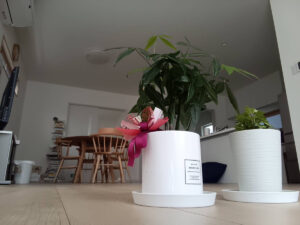 田辺市　E様邸　2年点検