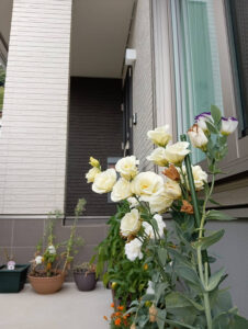 串本町　I様邸　2年点検