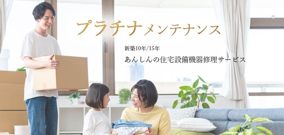 プラチナメンテナンス